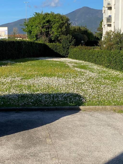 Apartment Francishouse-free Parking-close Hospital Cisanello Pisa