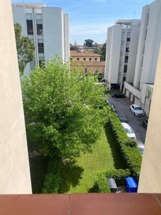 Francishouse-free Parking-close Hospital Cisanello Apartment *
